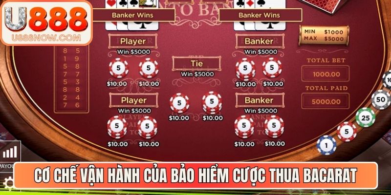 Cơ chế vận hành cụ thể của bảo hiểm cược thua Bacarat