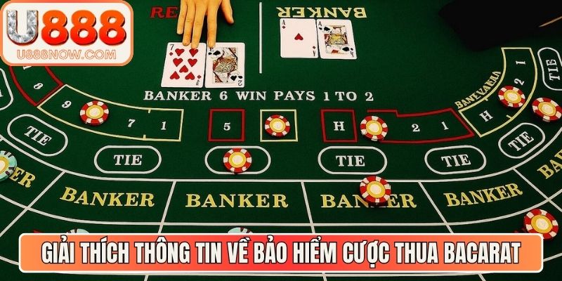 Giải thích sơ bộ thông tin về bảo hiểm cược thua Bacarat