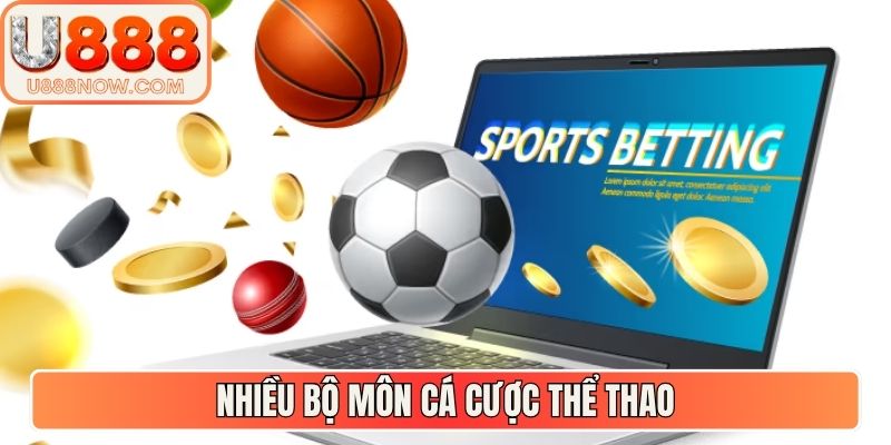 Nhiều bộ môn cá cược thể thao