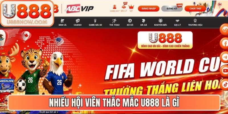 Nhiều hội viên thắc mắc U888 là gì