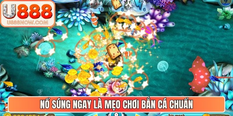 Nổ súng ngay là mẹo chơi bắn cá chuẩn